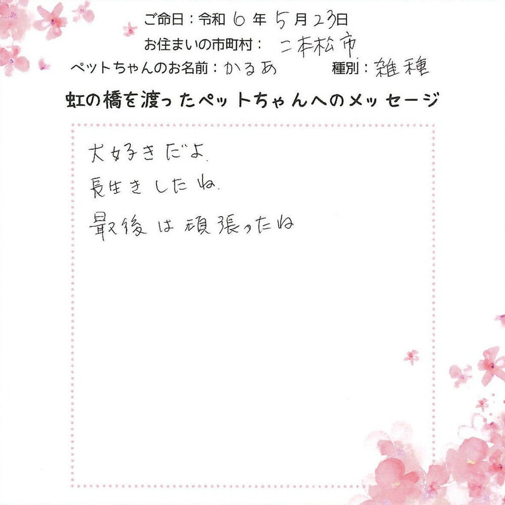 ブログ