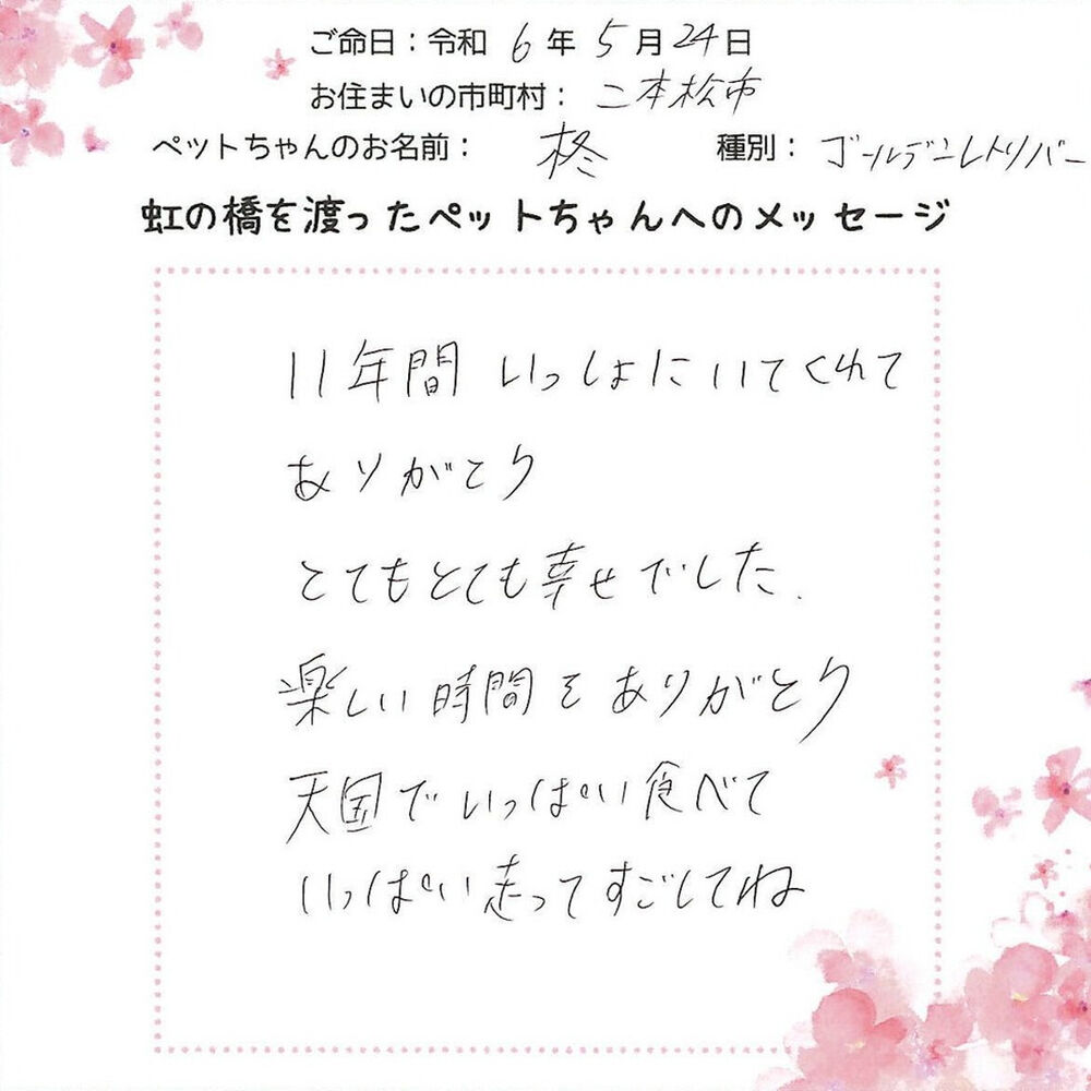 ブログ