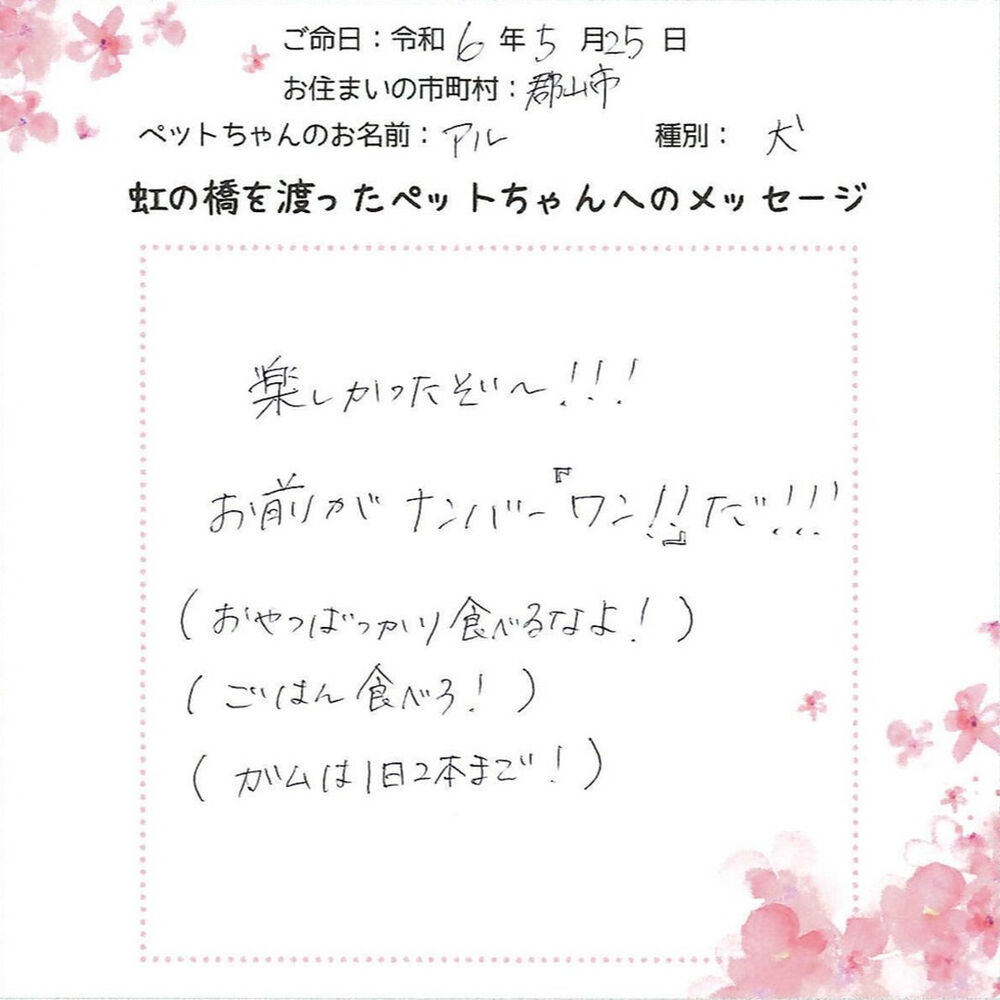 ブログ