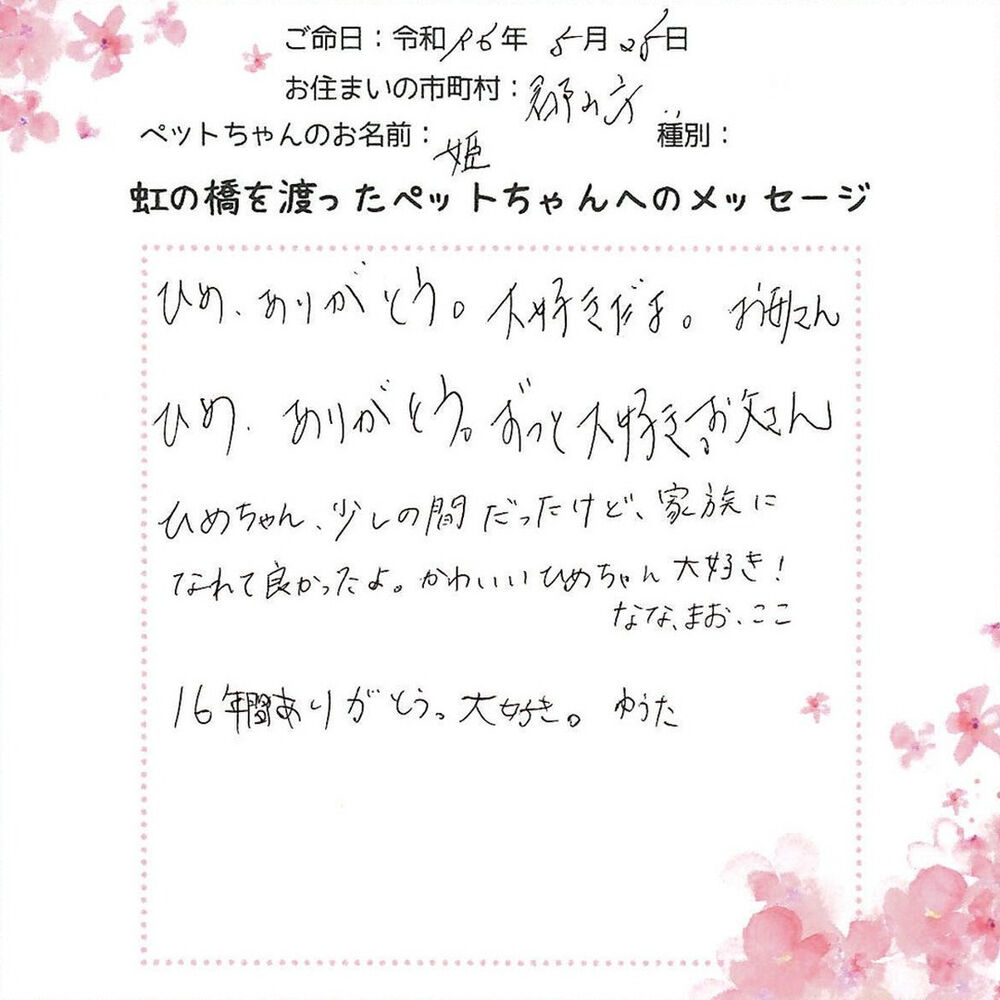 ブログ