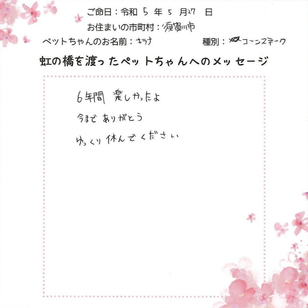 ブログ