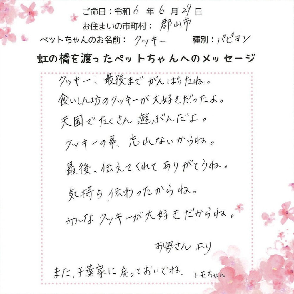 ブログ