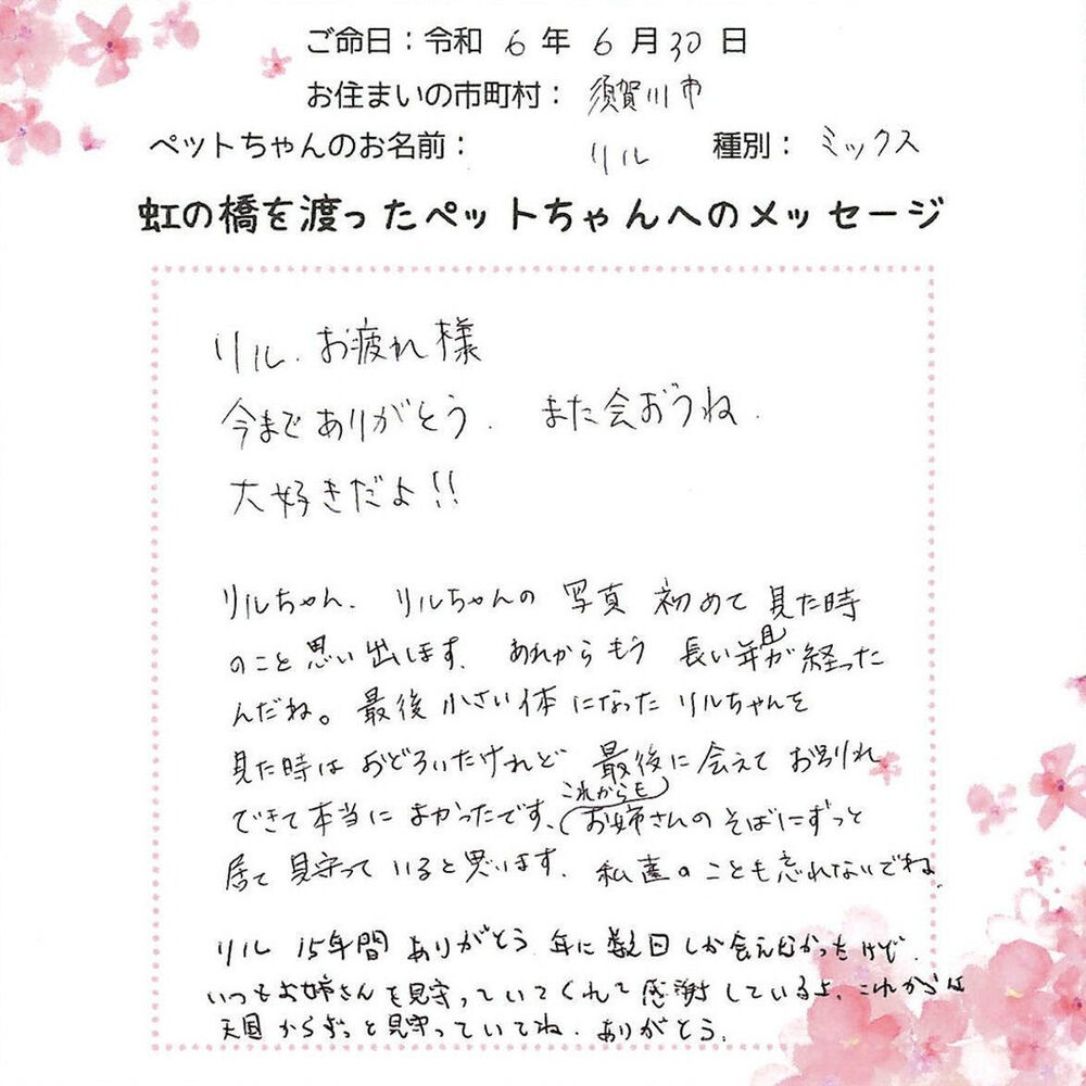 ブログ