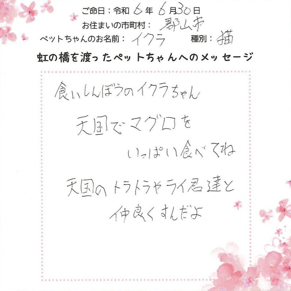 ブログ