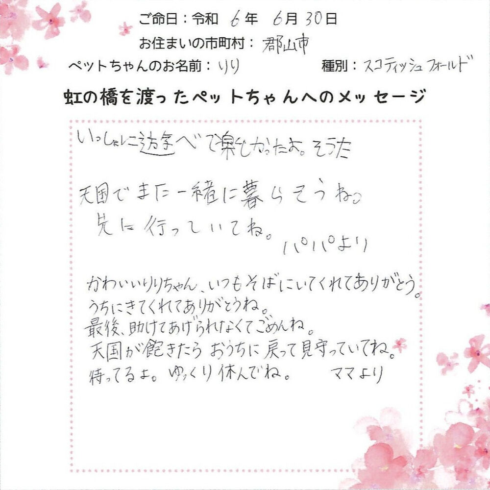 ブログ