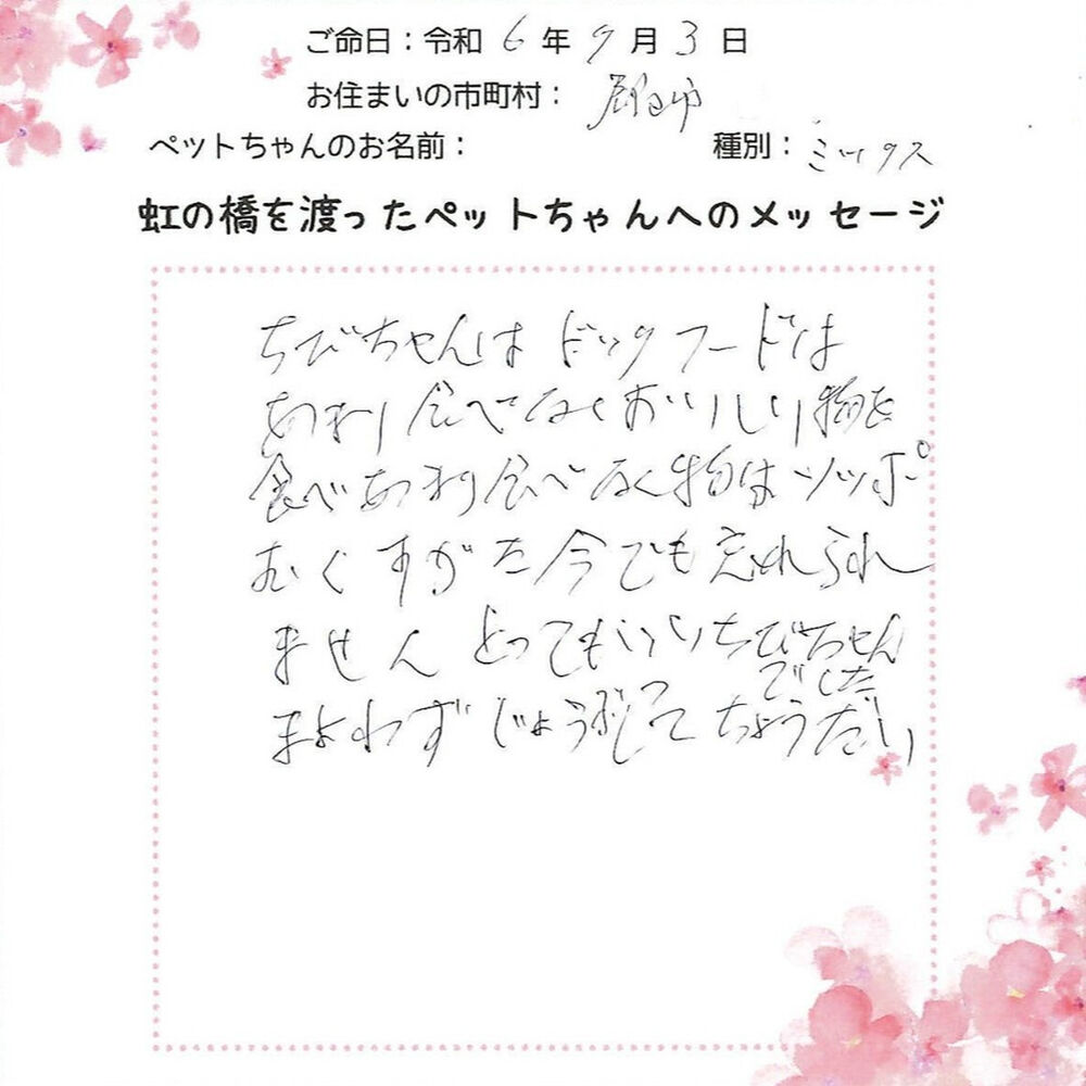 ブログ