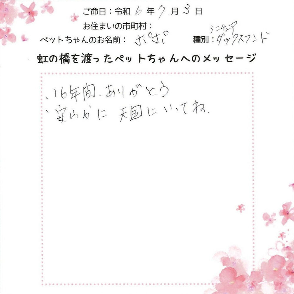 ブログ