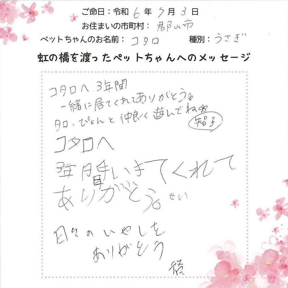 ブログ