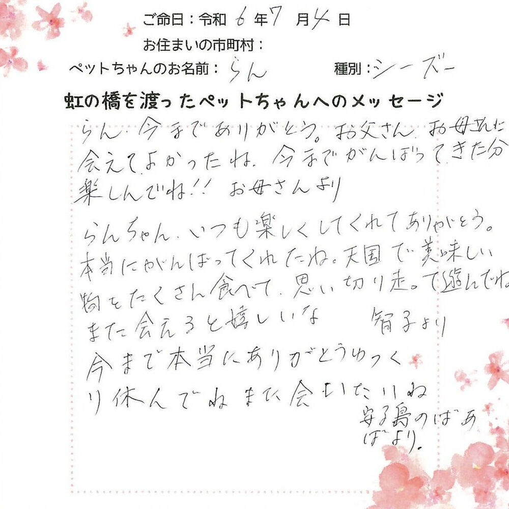 ブログ