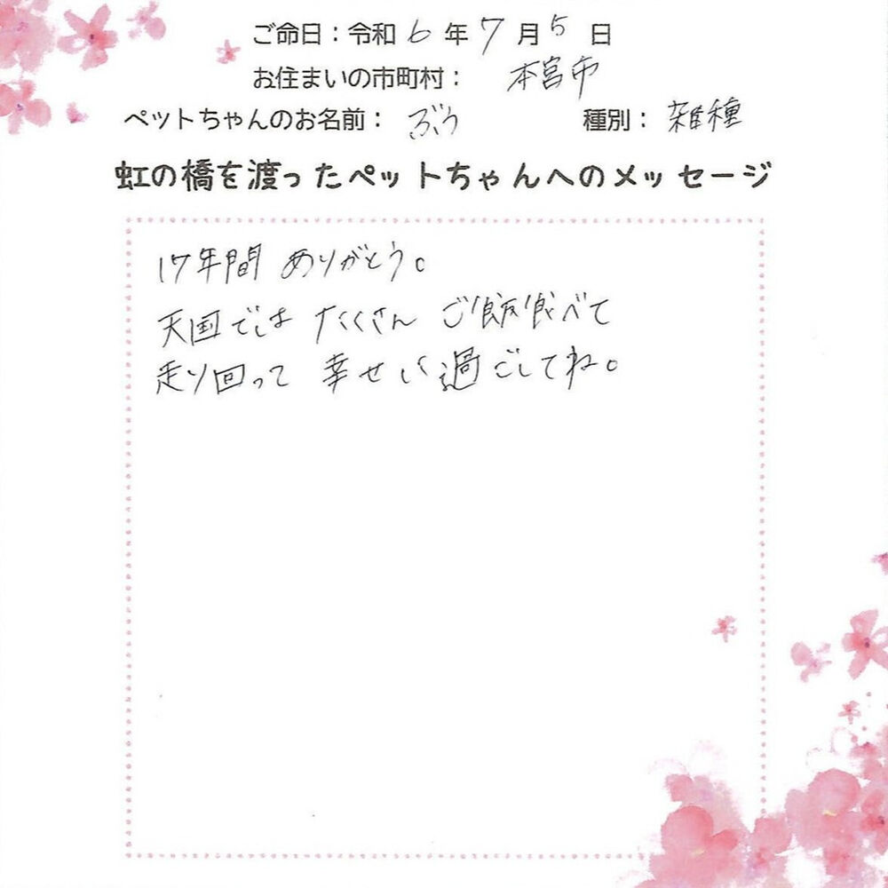 ブログ