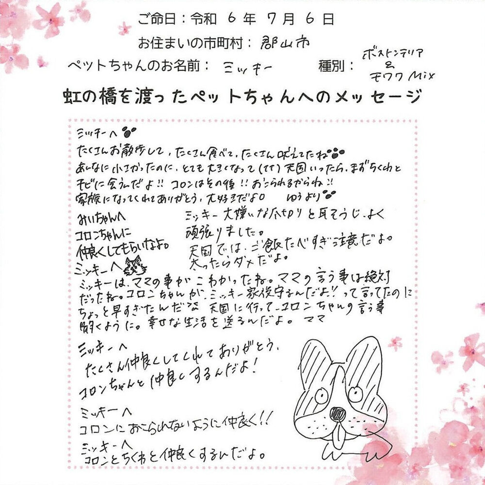 ブログ