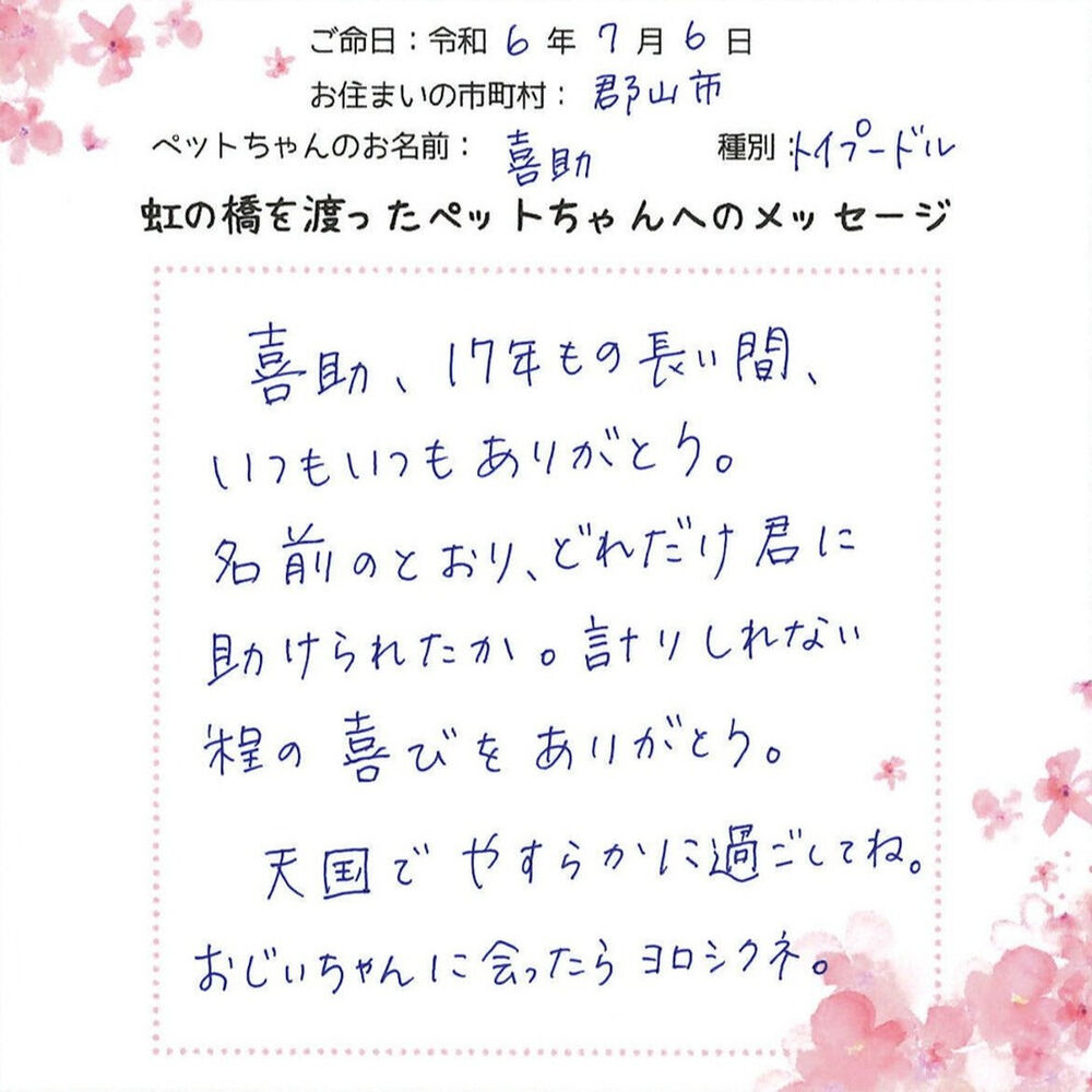 ブログ