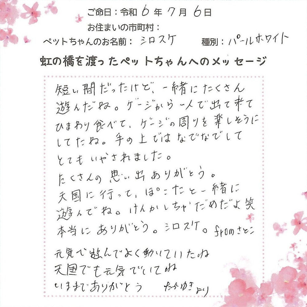 ブログ