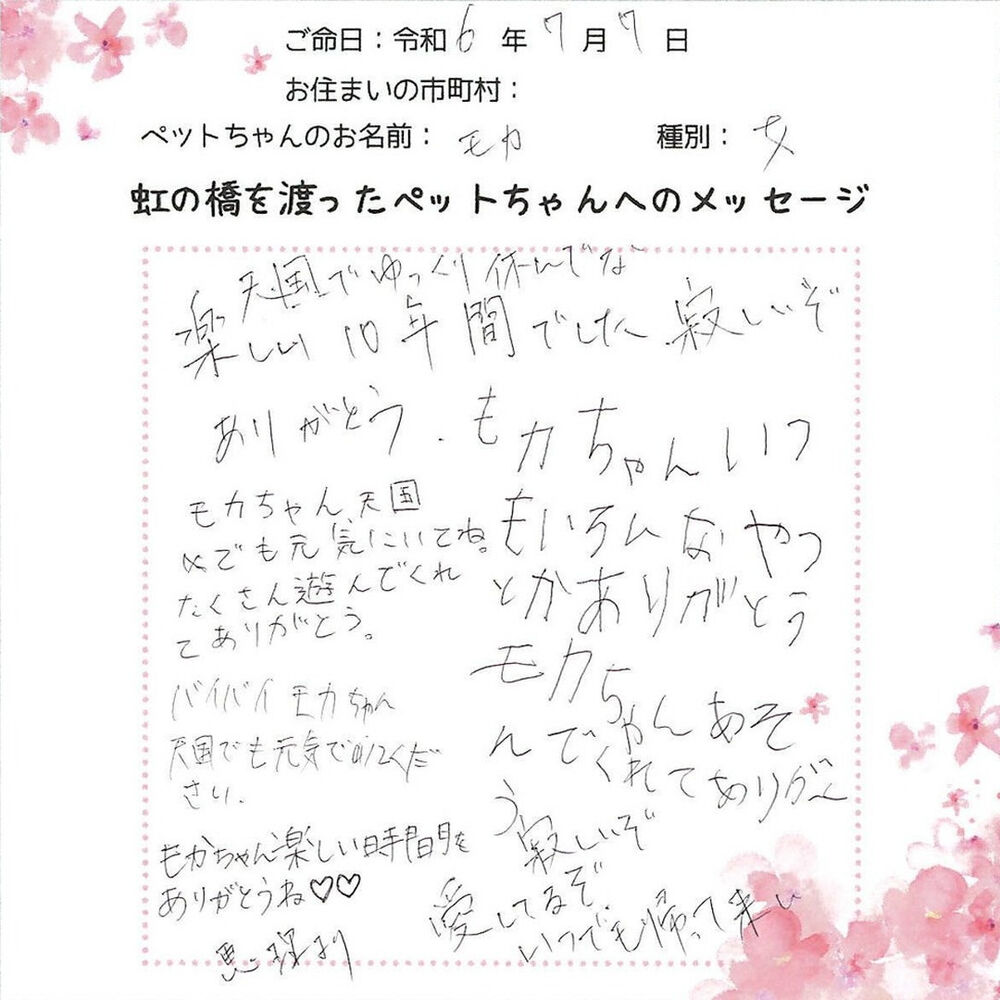ブログ