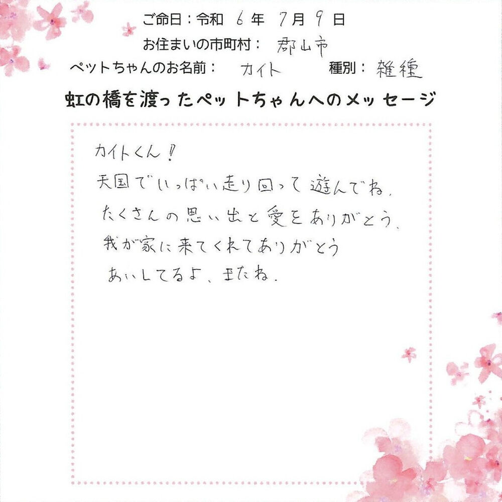 ブログ