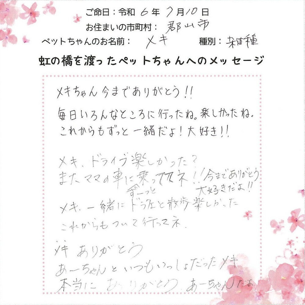 ブログ
