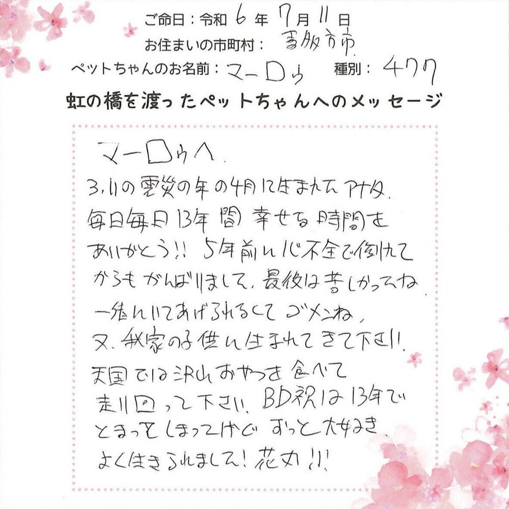ブログ