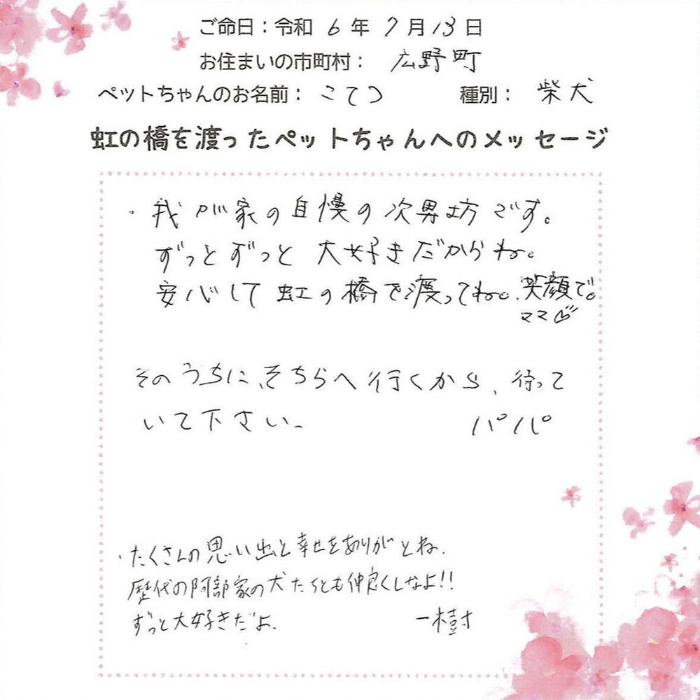 ブログ