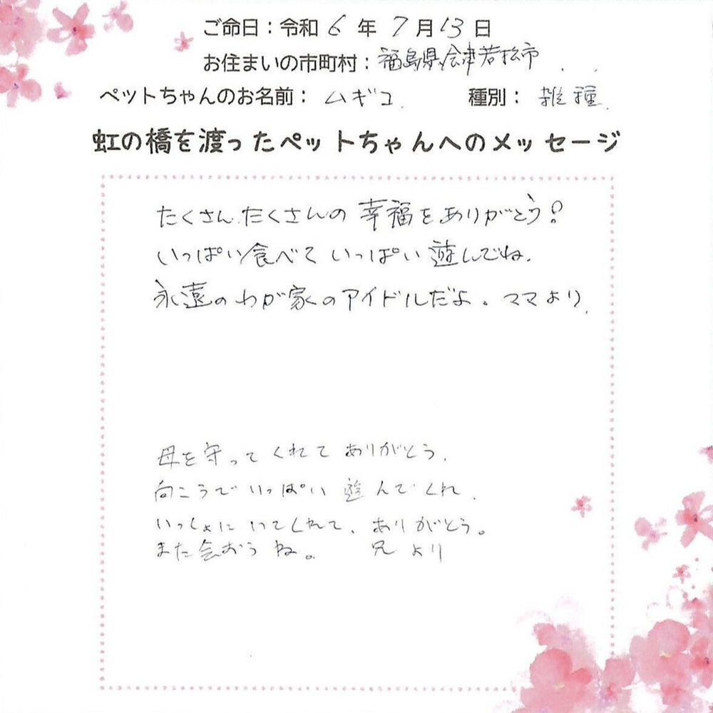 ブログ