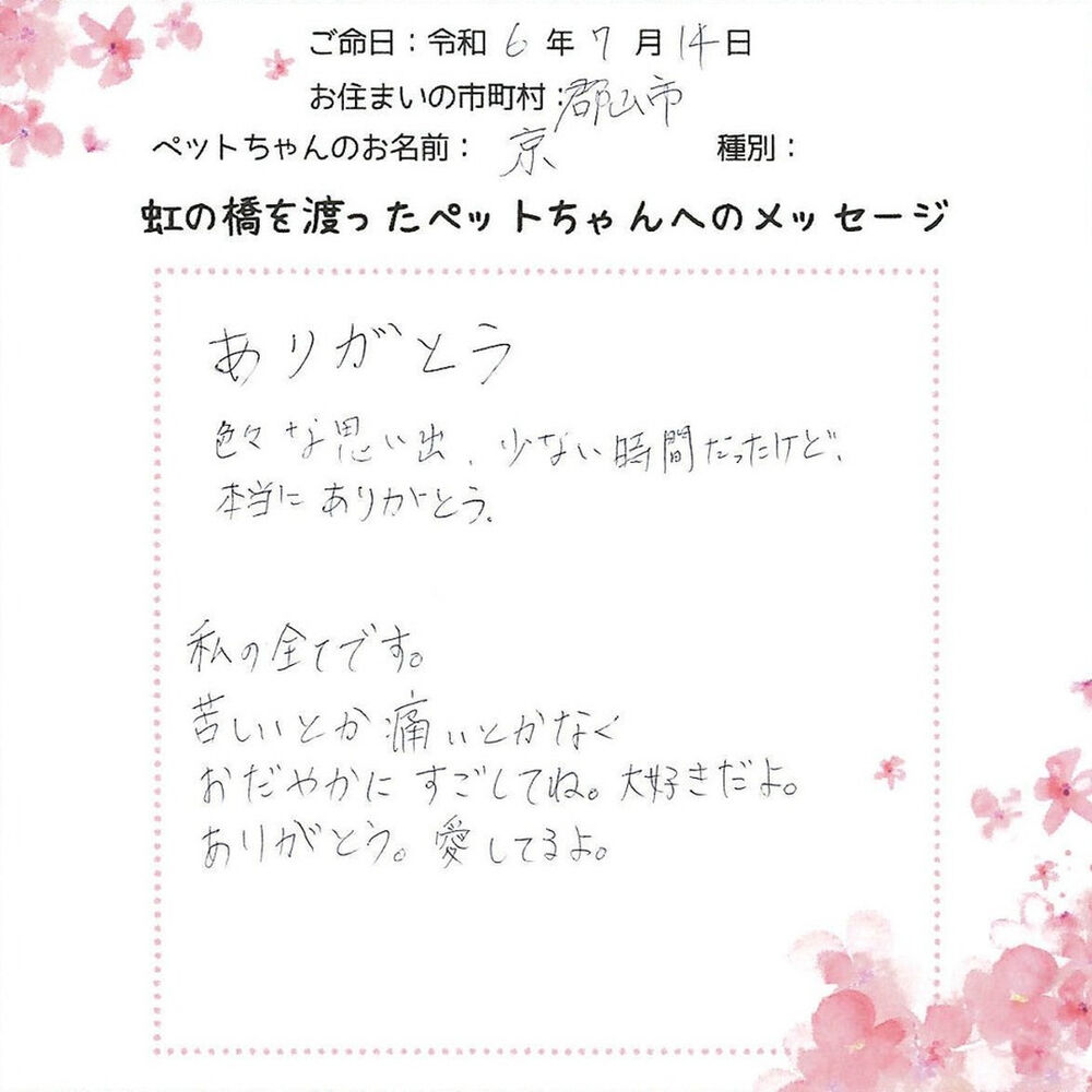 ブログ