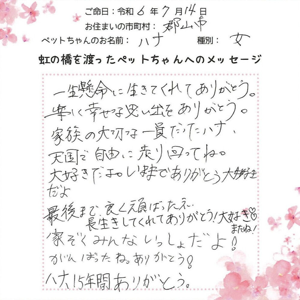 ブログ
