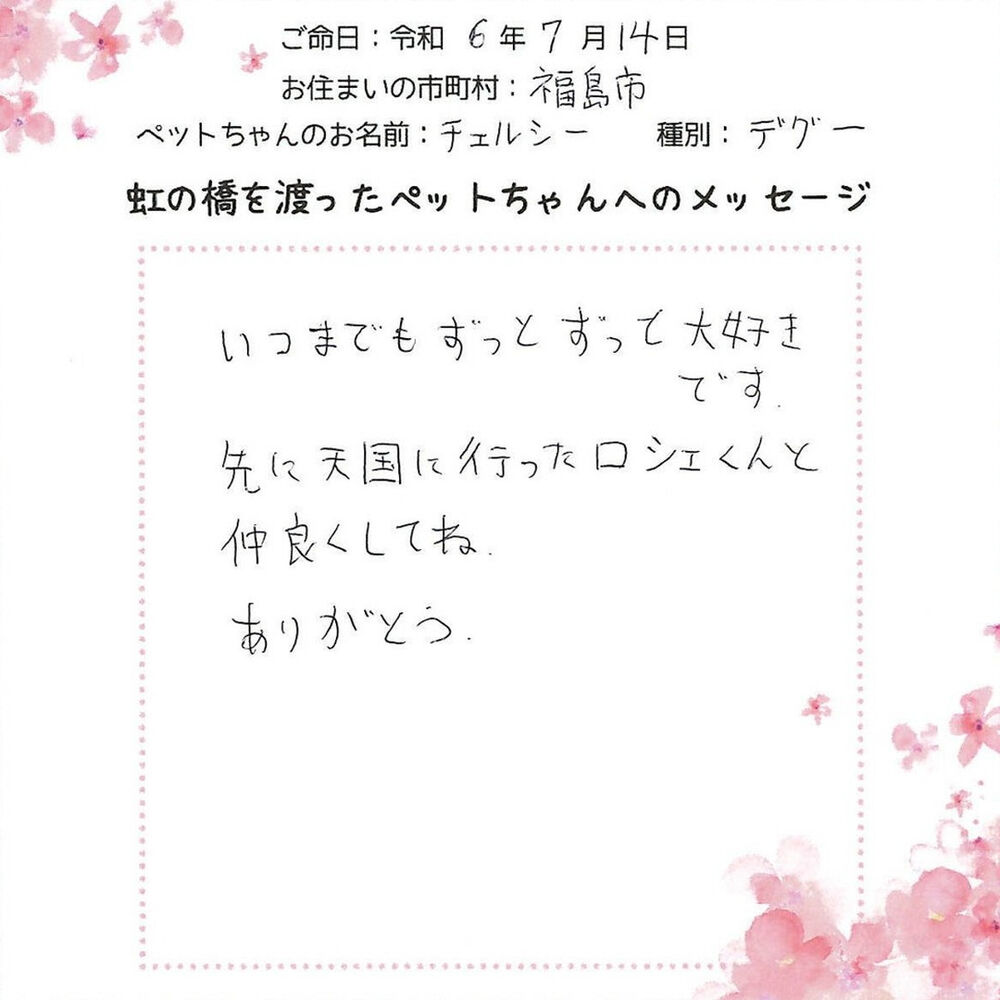 ブログ