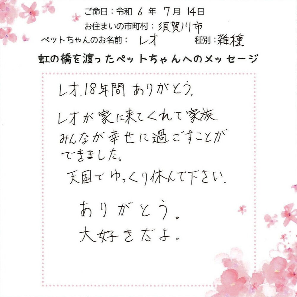 ブログ