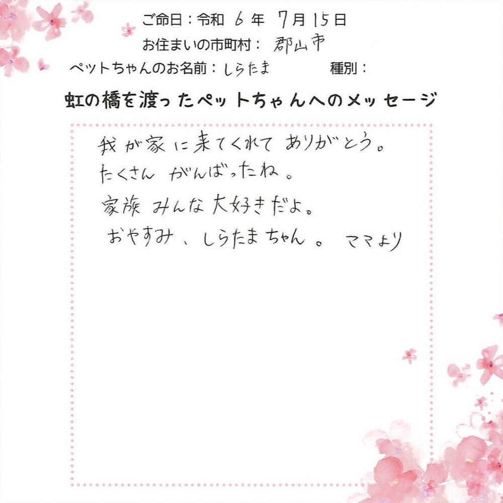ブログ