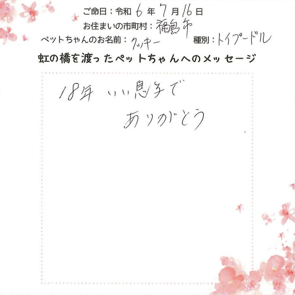 ブログ