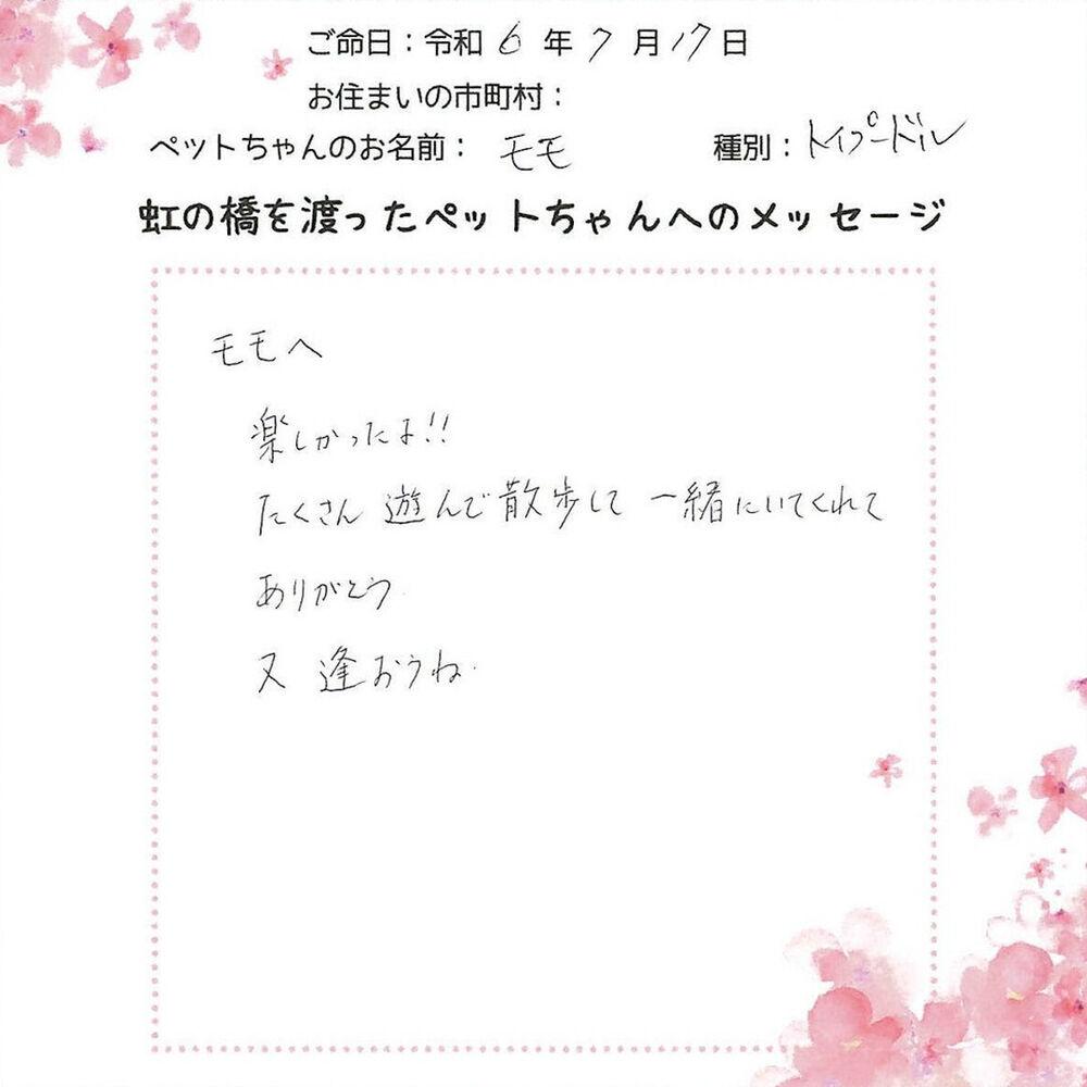 ブログ