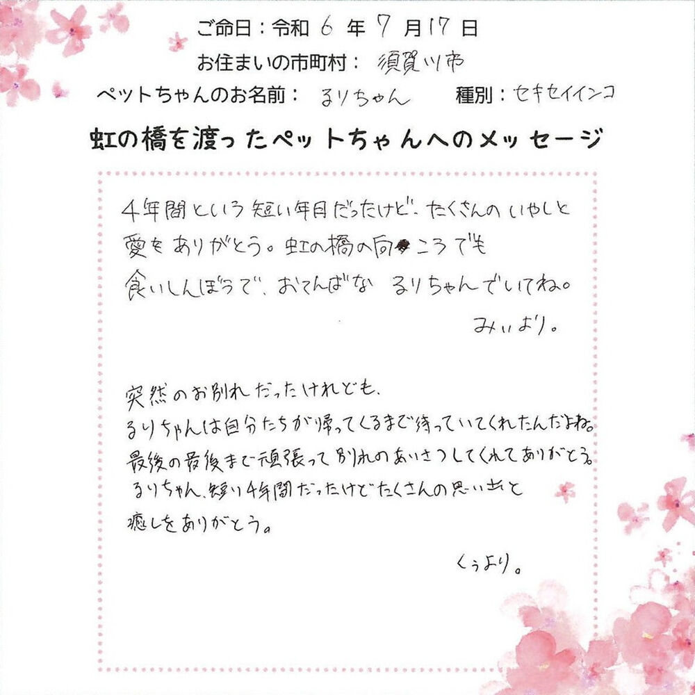 ブログ