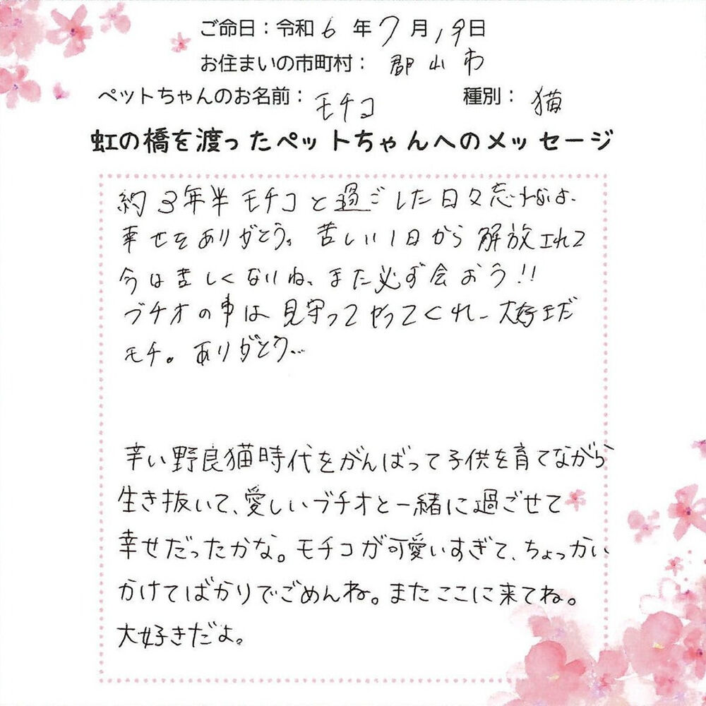 ブログ