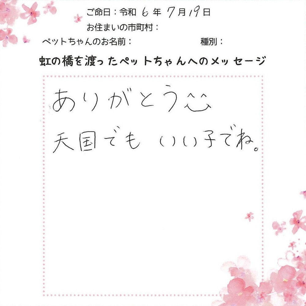 ブログ
