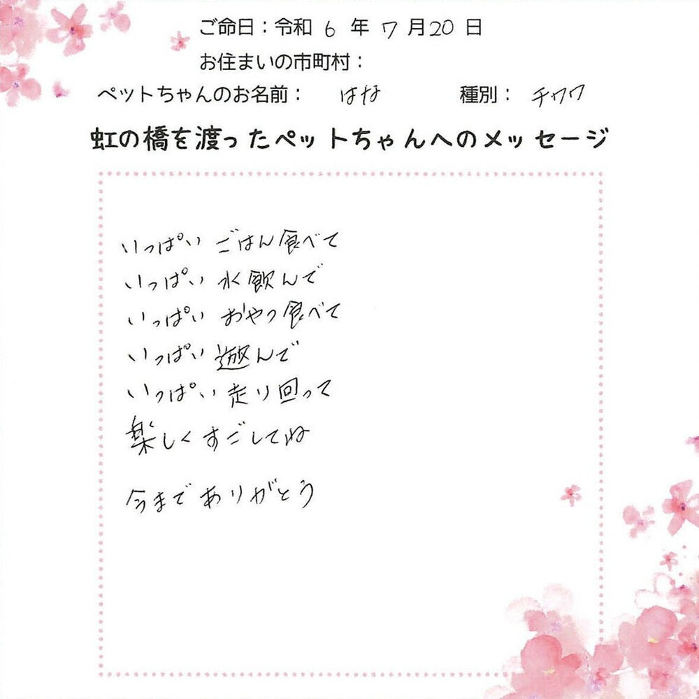ブログ