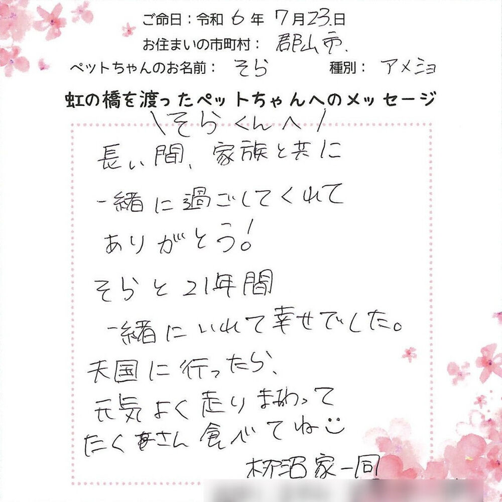 ブログ