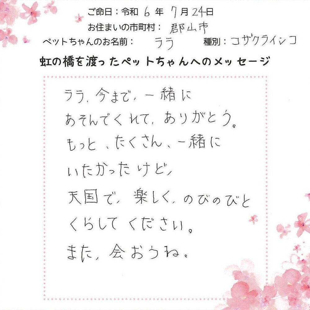 ブログ