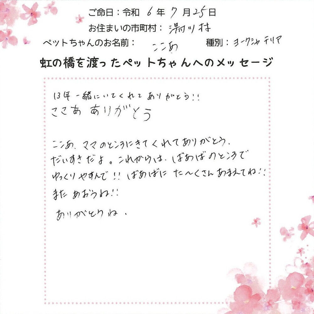 ブログ