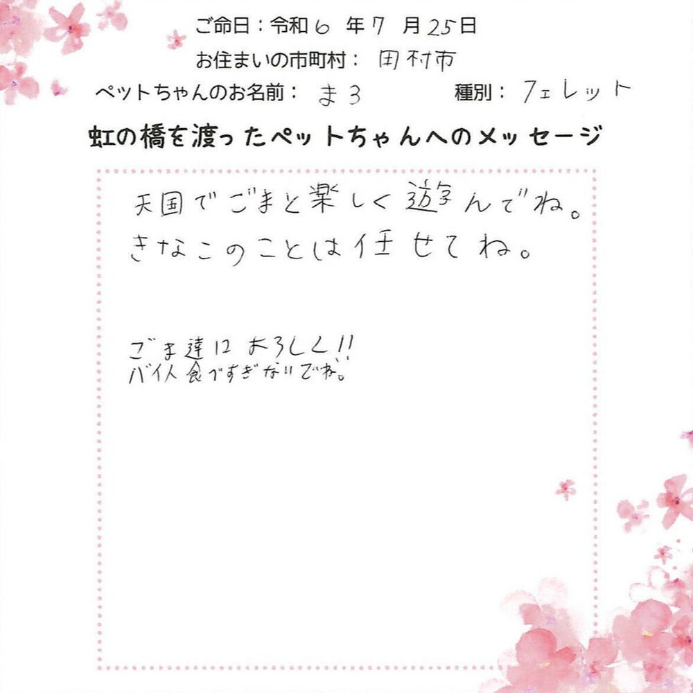 ブログ