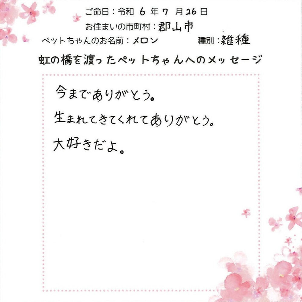 ブログ