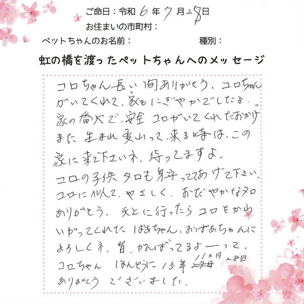 ブログ