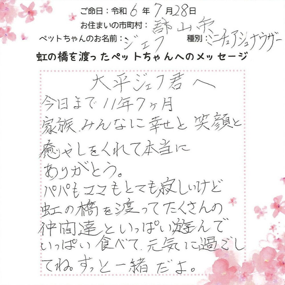 ブログ
