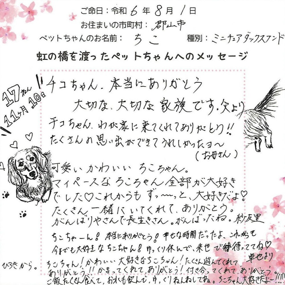 ブログ