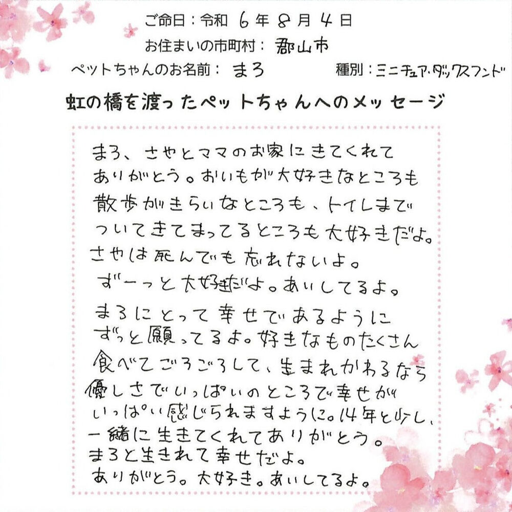 ブログ