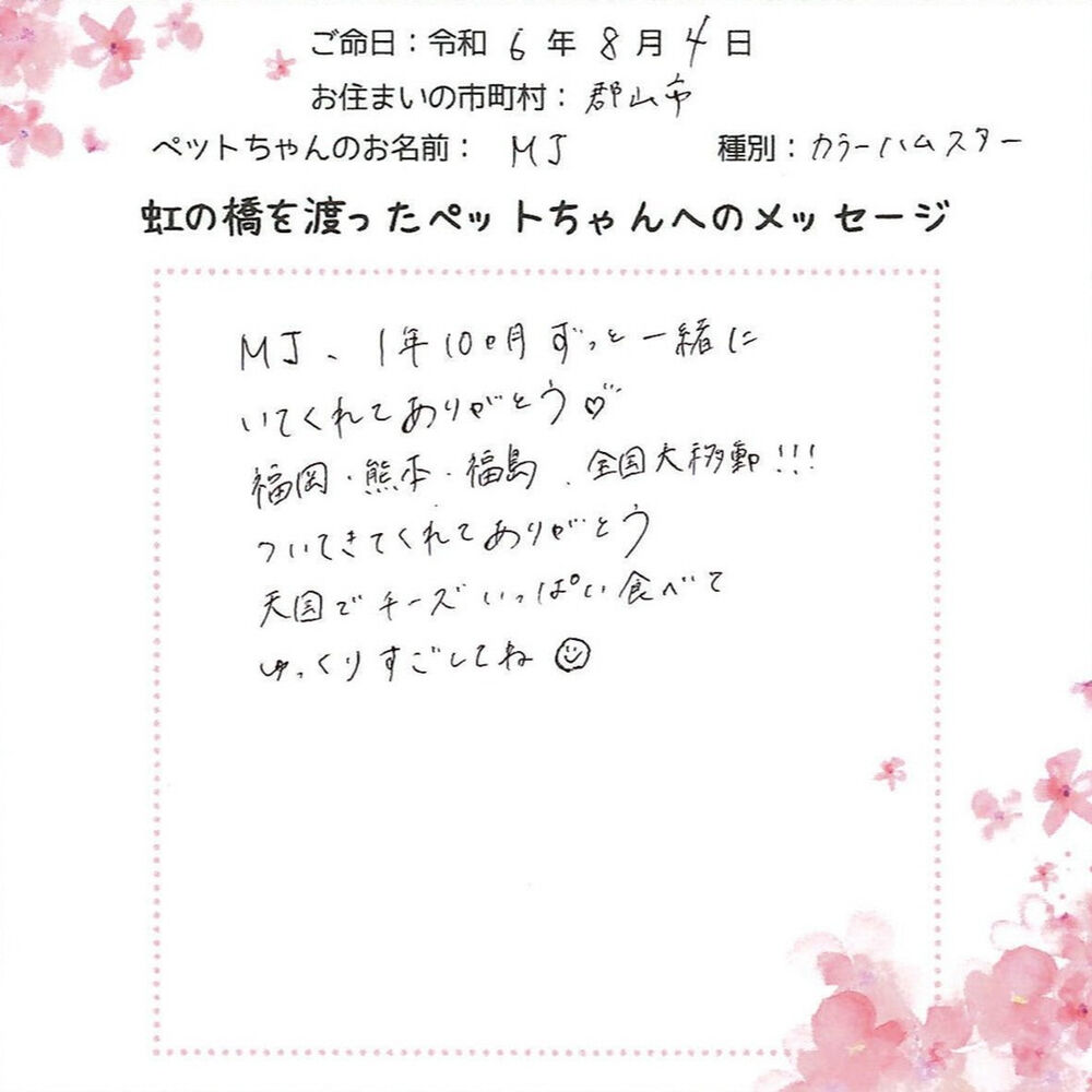 ブログ