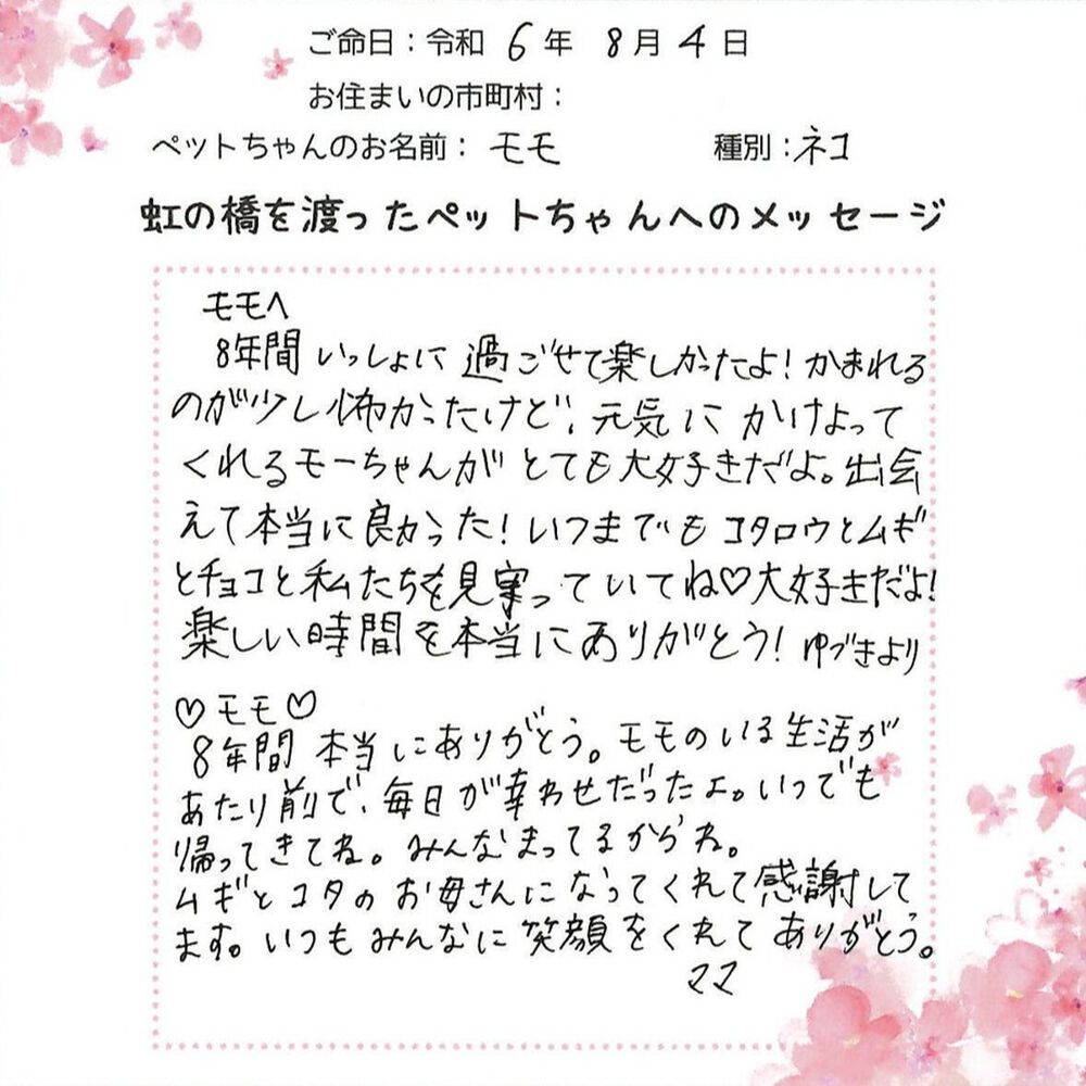ブログ