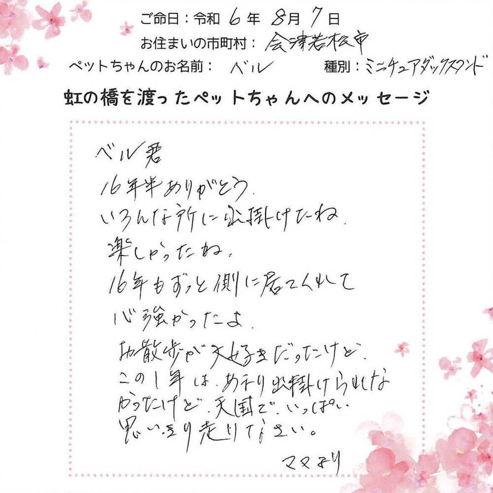 ブログ