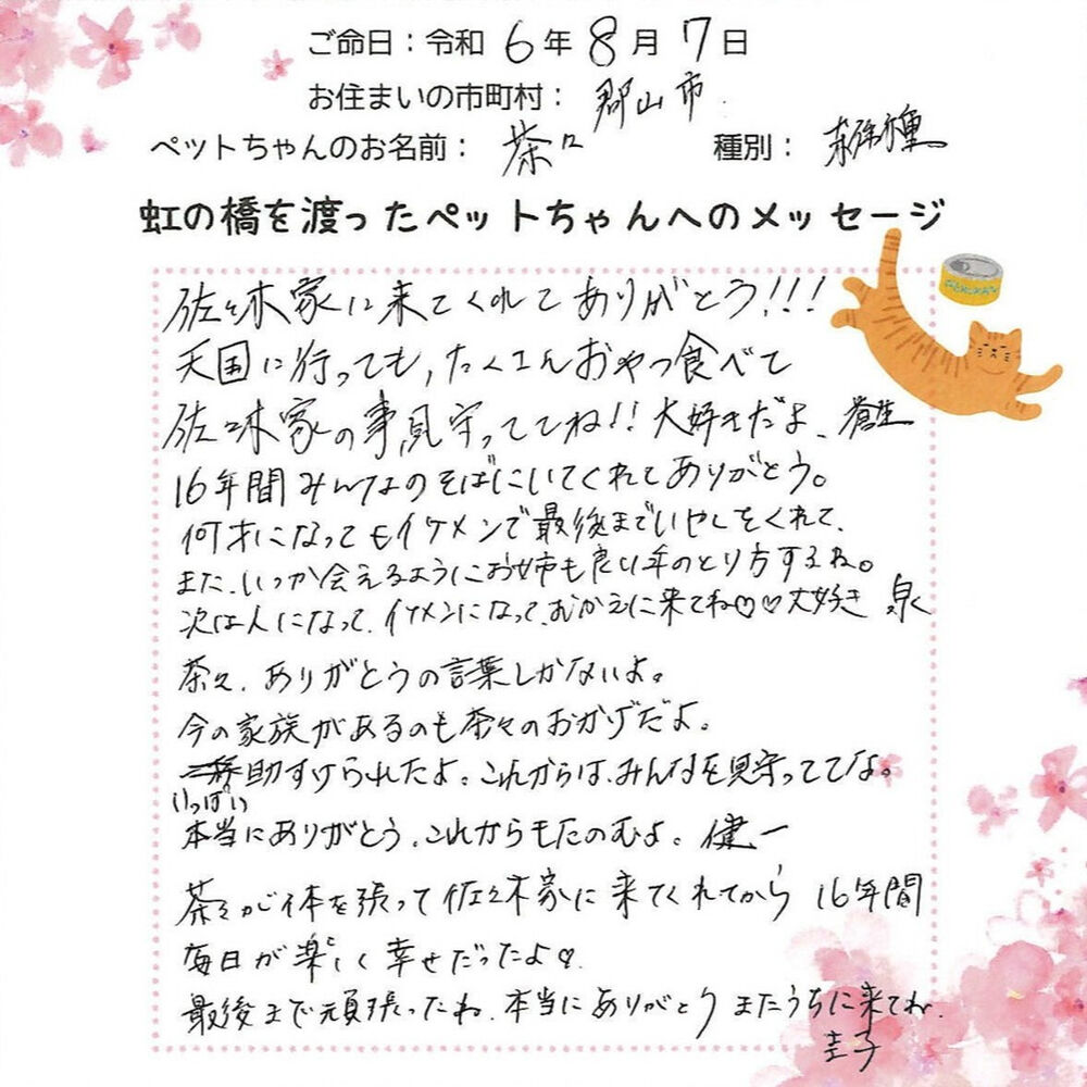 ブログ