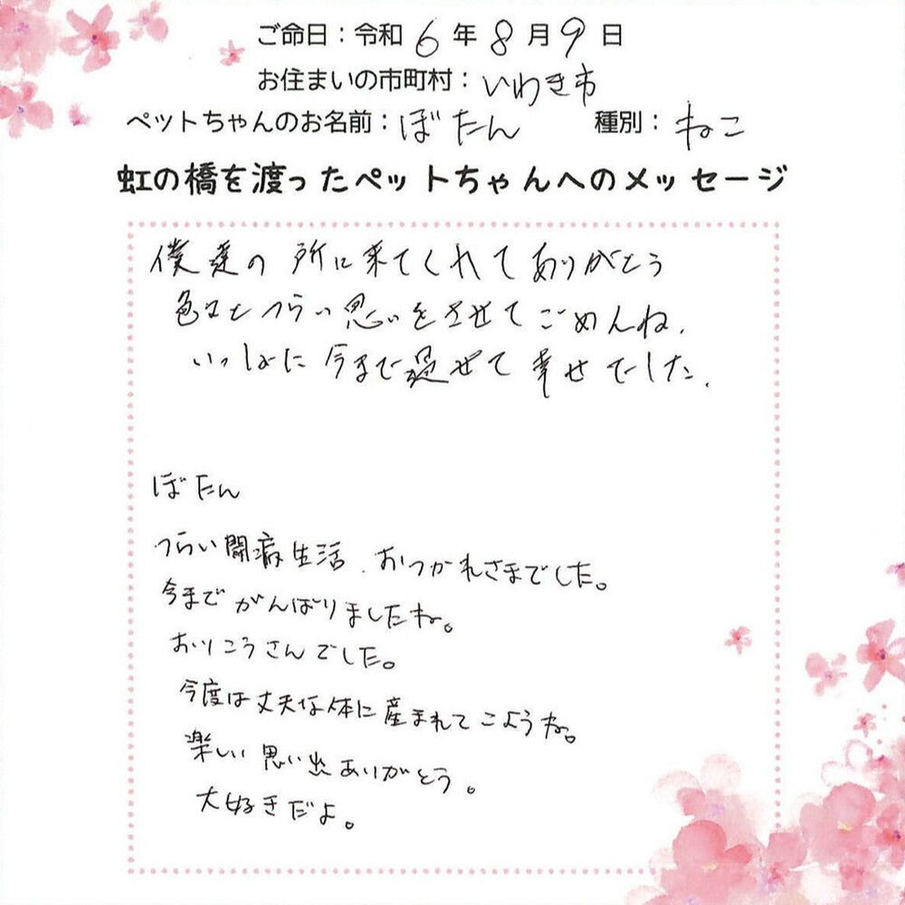 ブログ