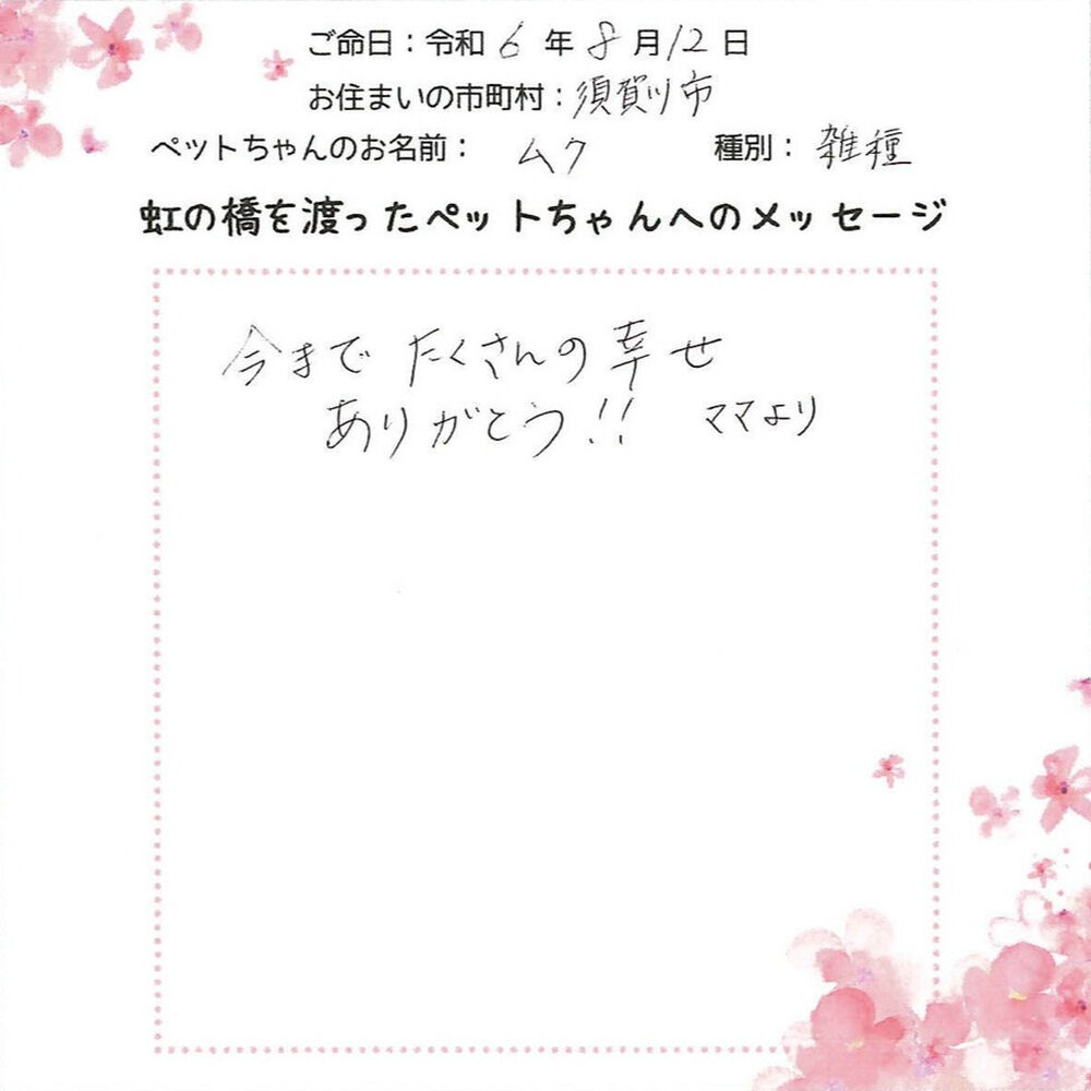 ブログ