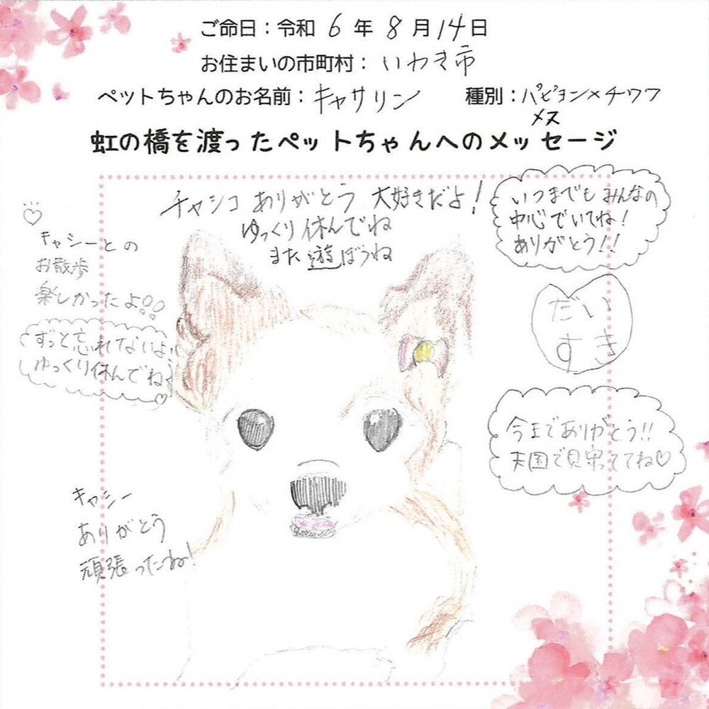 ブログ